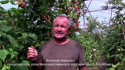Виталия бабенко