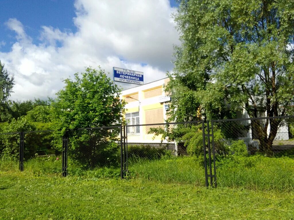 бутовская ветеринарная клиника скобелевская. государственные ветлечебницы в москве. ветеринарная клиника аист казань. ветклиника бутово скобелевская. ветклиника ховрино.