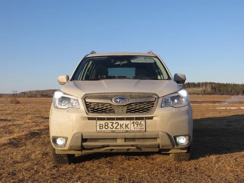 Дхо субару. ДХО Субару Форестер SJ. Subaru Forester sj5 ПТФ. Subaru Forester SJ. Ходовые огни Subaru Outback 2013.