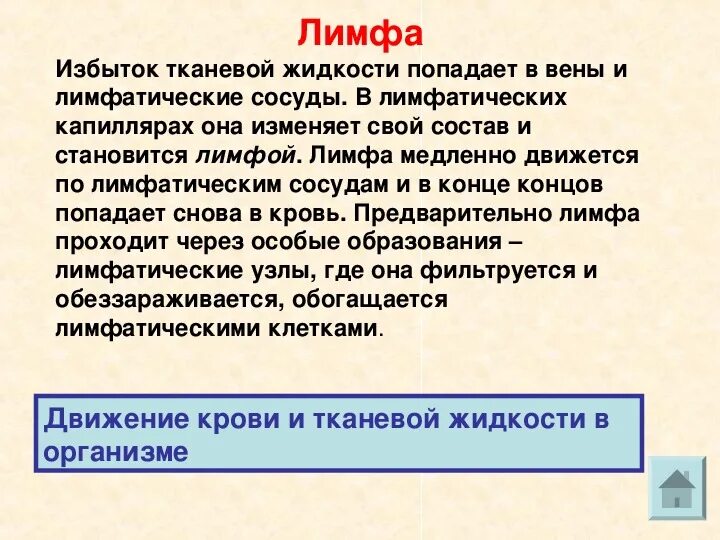 Как образуется лимфа и куда она оттекает. Как образуется лимфа. как формируется лимфа. тканевая жидкость. кровь лимфа тканевая жидкость.
