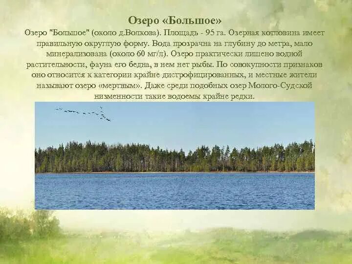 Какое озеро имеет наименьшую глубину. Климат лесное озеро. оз большое островное алтайский край о березовый. презентация на тему черное озеро бабаевский район. природа челябинской области кратко распечатать климат леса реки.