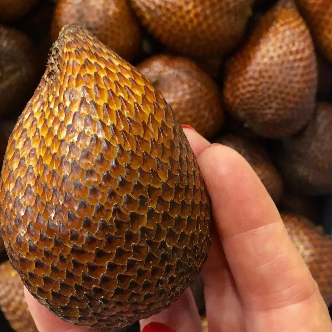 Скрипт на блокс фрукт. Блок фрукт хаки. Локации blox fruits. Блок фрукт хаки. Блок фрукт хаки.