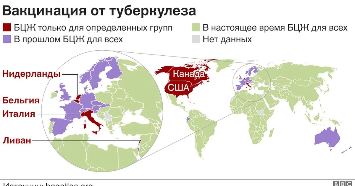 В каких странах обязательна служба. Прививка БЦЖ В каких странах делают. Прививки от туберкулеза в мире. Вакцинация статистика по странам. Статистика вакцинации в мире.