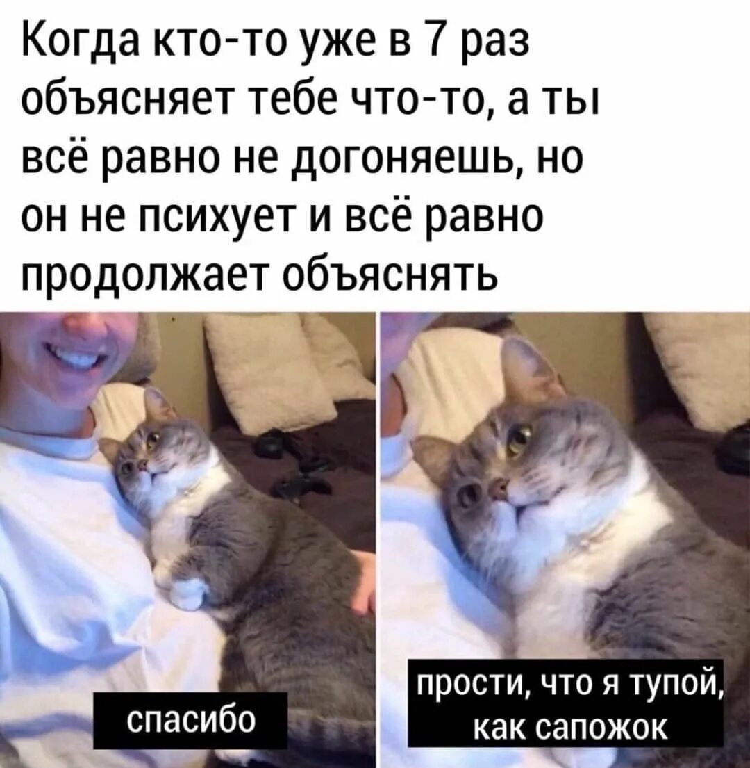 Кем был том и уже