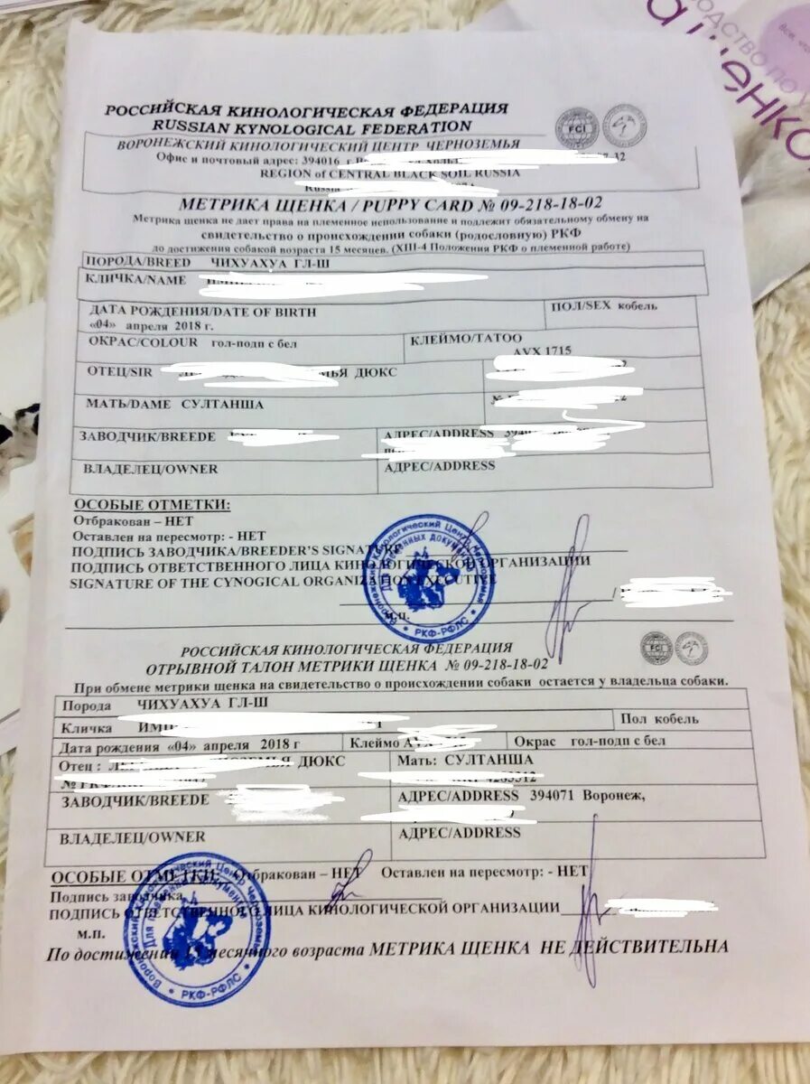 Документы на охотничью собаку. Щенячья метрика ркф. Как выглядит метрика щенка ркф. Метрика щенка ркф. Какие документы должны быть у щенка.