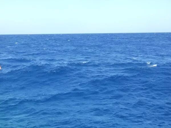 Синее море в исполнении. Волчок синее море. красове глубокое море синее картинки. релми 10 синее море. митдузы( серые )йедовитые в синим море.