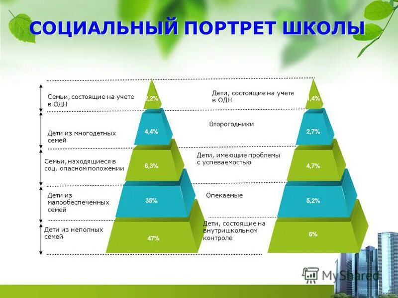 Определить социальный портрет. Психологический портрет класса. Социальный вид портрета. Социальный портрет в живописи. Определить социальный портрет.
