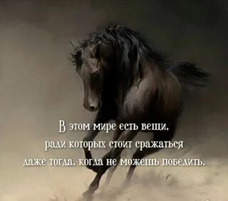 Бороться стоит