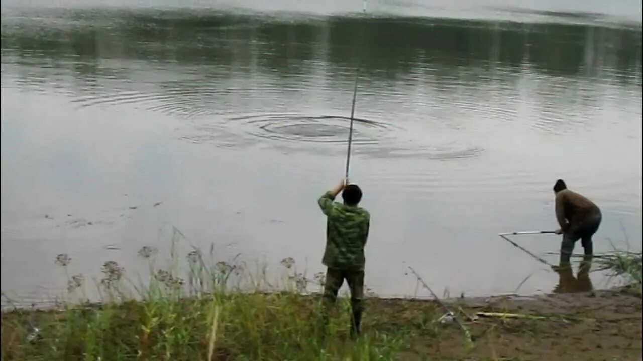 Рыбалка на палтуса на камчатке. Рыбалка сам видео. Рыбалка сам видео. Рыбалка на волге. Рыбалка сам видео.