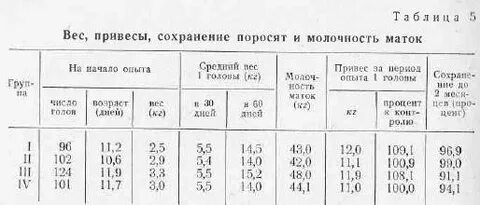 Как разводить сухое молоко для поросят