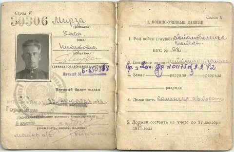 Как правильно пишется отчество никитич