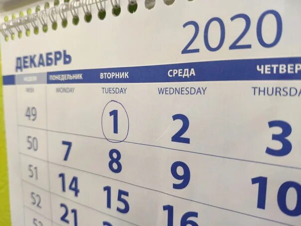 Законы вступающие в силу с декабря. 1 декабря 2021 года. Законы декабря 2020 года. Что изменится с 1 декабря. Нововведения декабря законы.