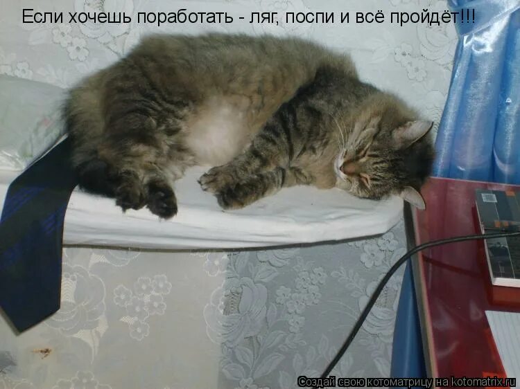 ляг поспи и все пройдет картинки. ляг поспи и все пройдет. ляг поспи и все пройдет. ляг поспи и всё пройдет. если хочется работать ляг поспи.