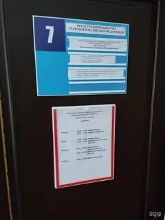 Паспортный тольятти