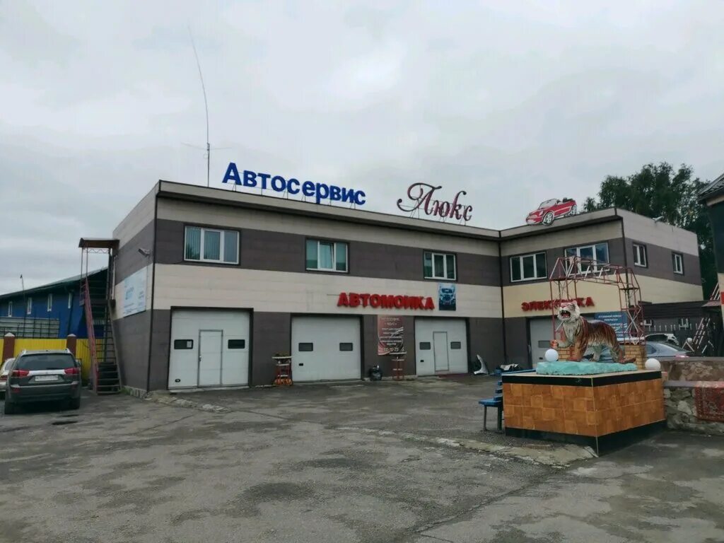 магнит косметик чебоксары новоюжный район. розы люксембург 1а. розы люксембург 1а. магнит роза люксембург чебоксары. альгешево розы люксембург 1.