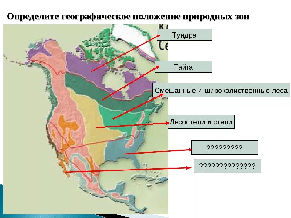 Карта природных зон Северной Америки. Природный соны Северной Америки. Расположение природных зон Северной Америки. Карта природных зон США. Нанесите на контурную карту природные зоны сша