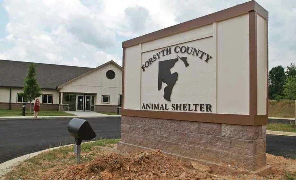 Animal shelter natural choice