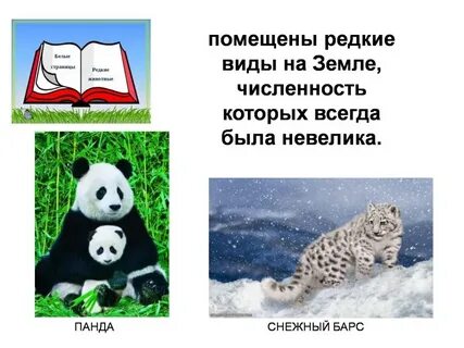 Красная книга белые страницы животные