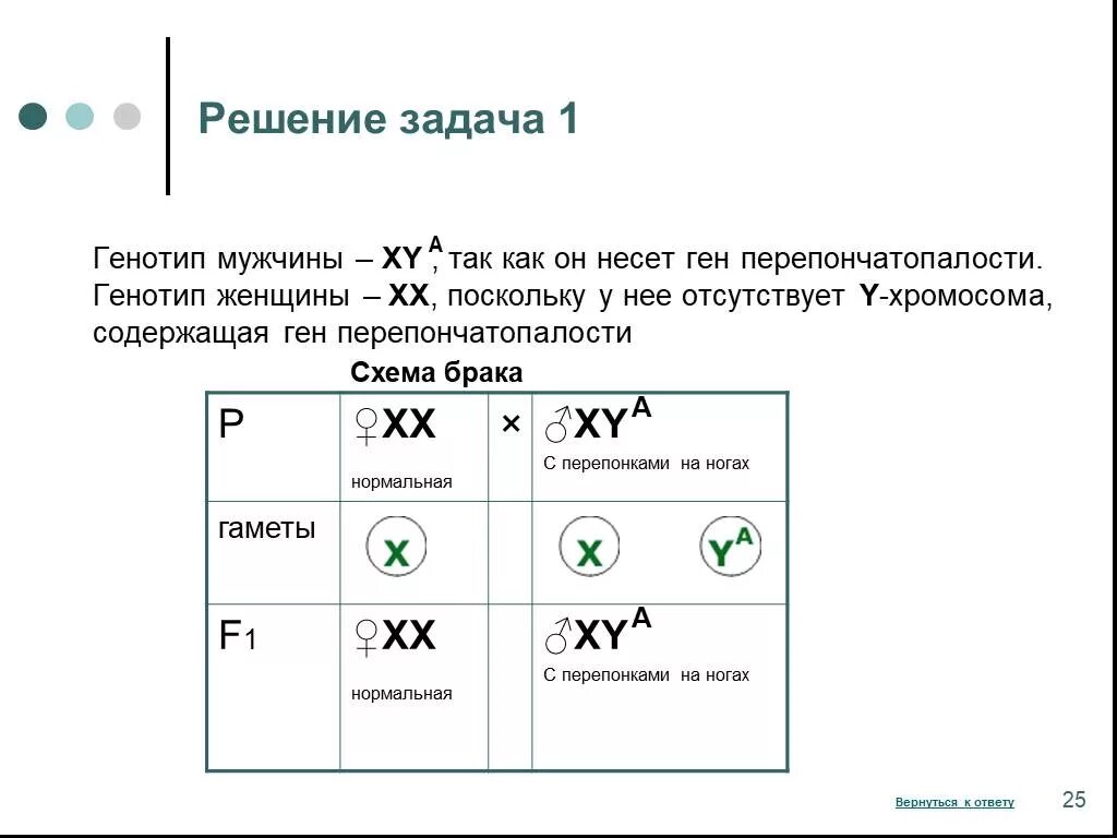 У человека доминантный ген а определяет стойкий. Генетика пола, генотип 10 класс биология. Задачи на генетику пола с решением. Решение генетических задач на сцепленное с полом наследование. Задачи по генетике на генетику пола.