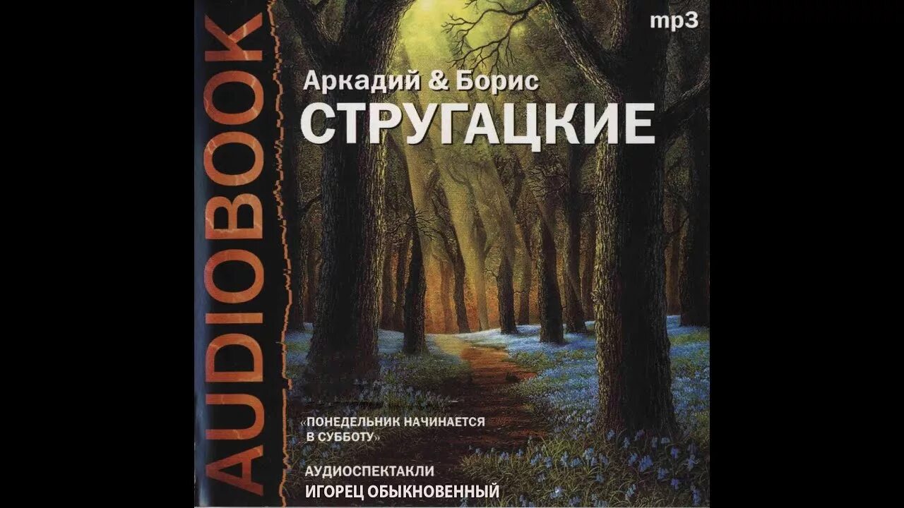 Аудиокниги субботы. Понедельник начинается в субботу Черняк. Стругацкие понедельник аудио.