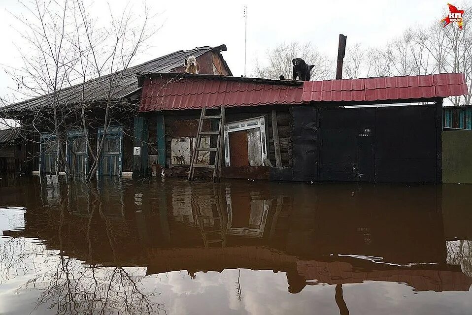 Салда потоп. Урал затопило. Наводнение нижние серги. Потоп нижние серги 2020. Где на урале наводнение.
