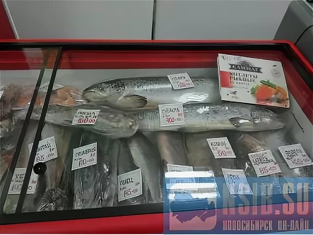 Продаю рыбный магазин