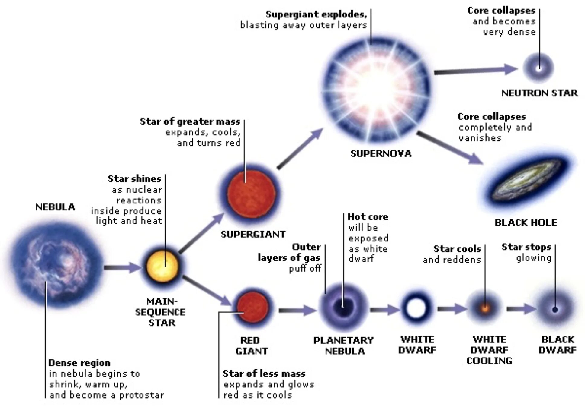 Жизненный цикл звезды. Этапы жизни звезды. Этапы жизненного цикла звезды. Схема эволюции звезд. 1 этап звезда