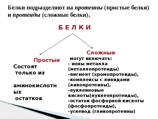 Группы сложных белков. Простые и сложные белки биохимия. Классификация белков простые и сложные. Классы сложных белков таблица. Биологические функции сложных белков.