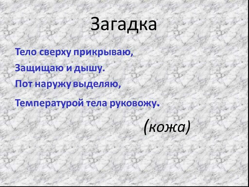 Загадки про народ. Загадки человека. Загадки о людях человеке. Загадки на тему организм человека. Загадки про органы человека.