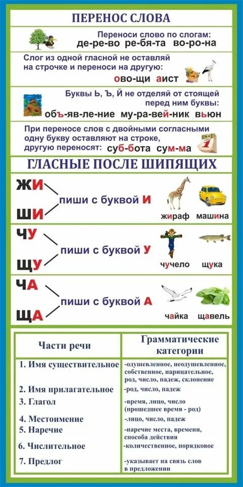 Картинки правила русский