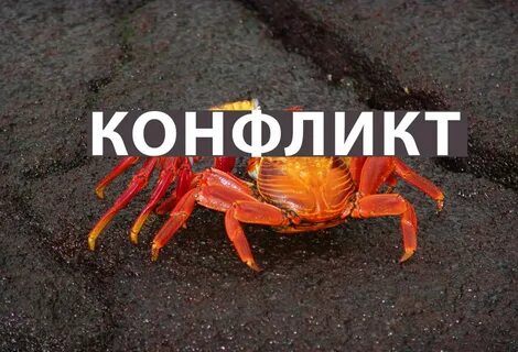 Малая тг