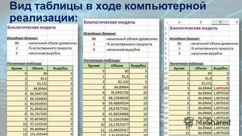 Стартовые данные