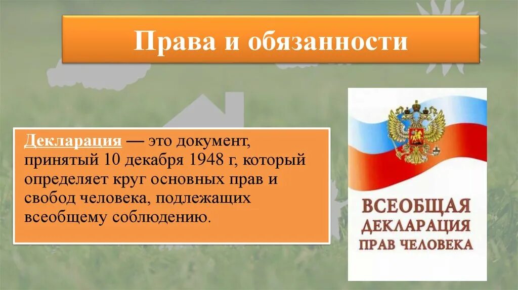 Документ который определил круг основных прав и свобод человека. Декларация прав моей семьи. Декларация обязанностей.