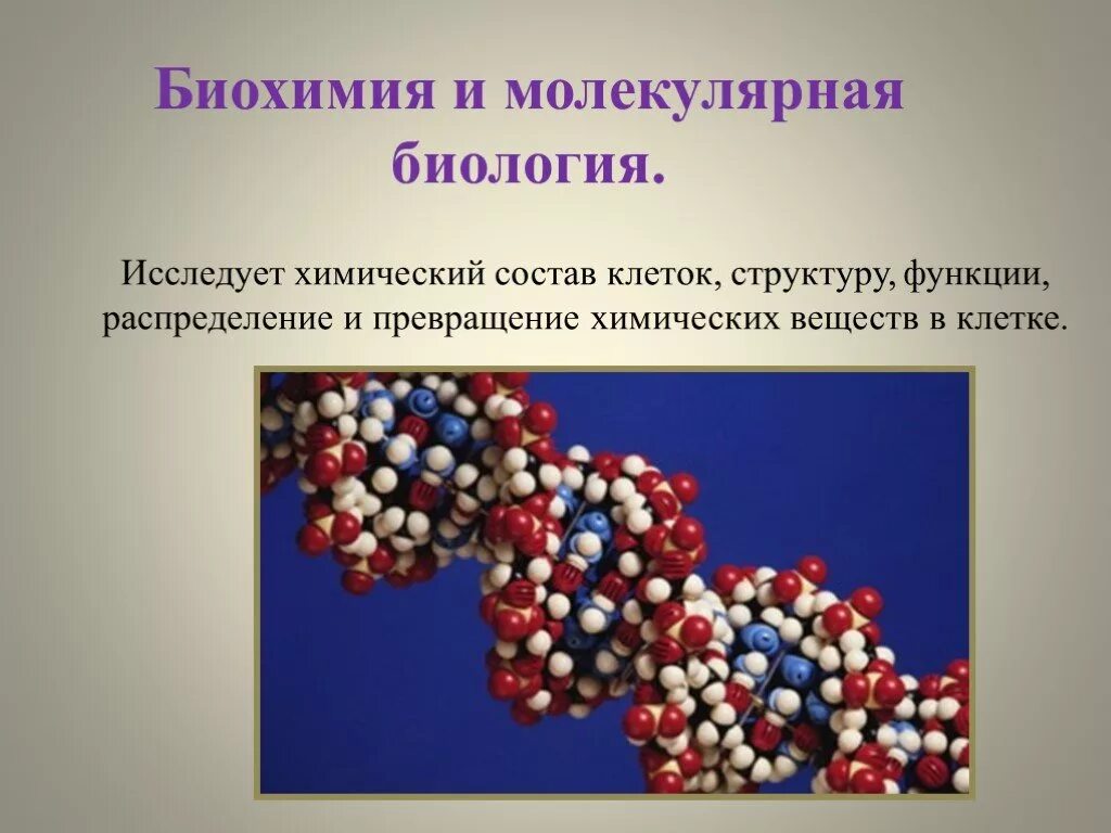 Что такое биохимия. Биохимия и молекулярная биология. методы биохимии и молекулярной биологии. биохимия это в биологии. молекулярно биохимические методы.