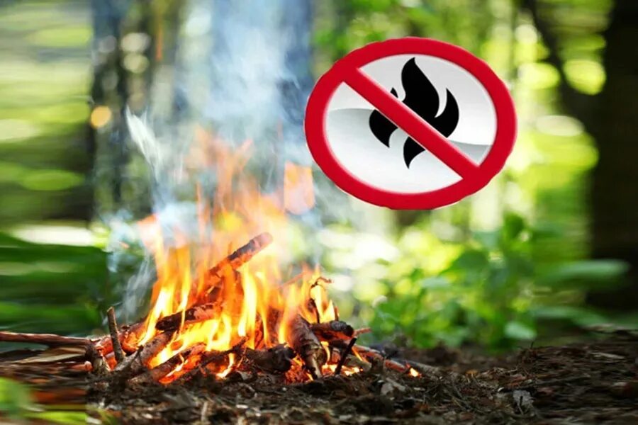 Нельзя разжигать огонь в лесу. Разжигание костра в лесу. Запрещено разводить костры в лесу. Костер в лесу пожар. Разводить костер в лесу запрещено