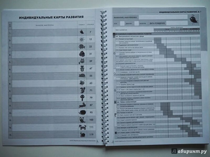 Карта развития ребенка дошкольника по фгос. Карта развития ребенка. карты развития детей от 0 до 3. карты развития детей от 0 до 3 лет. карты развития детей от 3 до 7 лет.