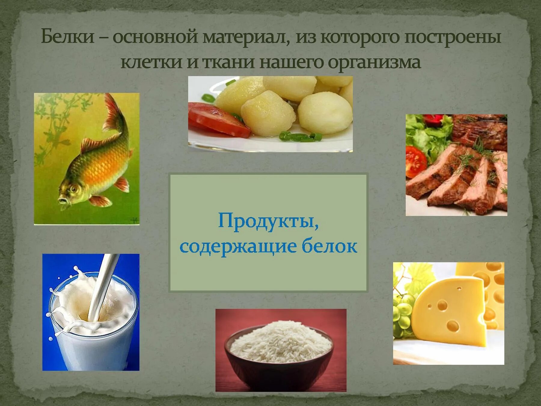 В каких продуктах есть мясо. Продукты содержащие белки. Белки в продуктах питания. В каких продуктах содержатся белки. Продукты питания содержащие белок.