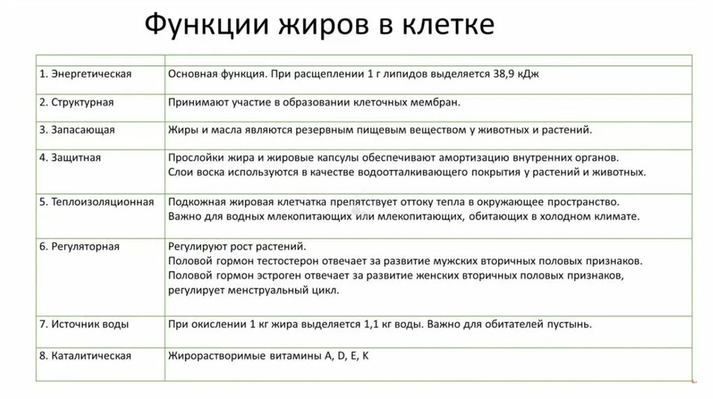 Три функции жиров. Биологические функции жиров таблица. Биологические функции жипнв. Функции жиров в организме человека биология 8 класс. Жиры функции биология.