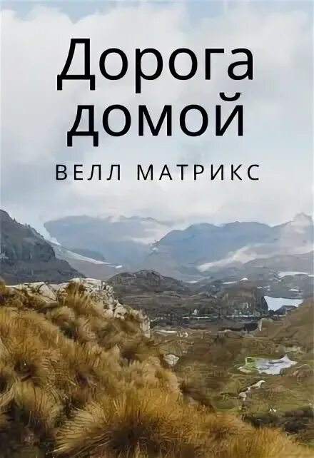 Дорога домой книга. Книга в дорогу!.