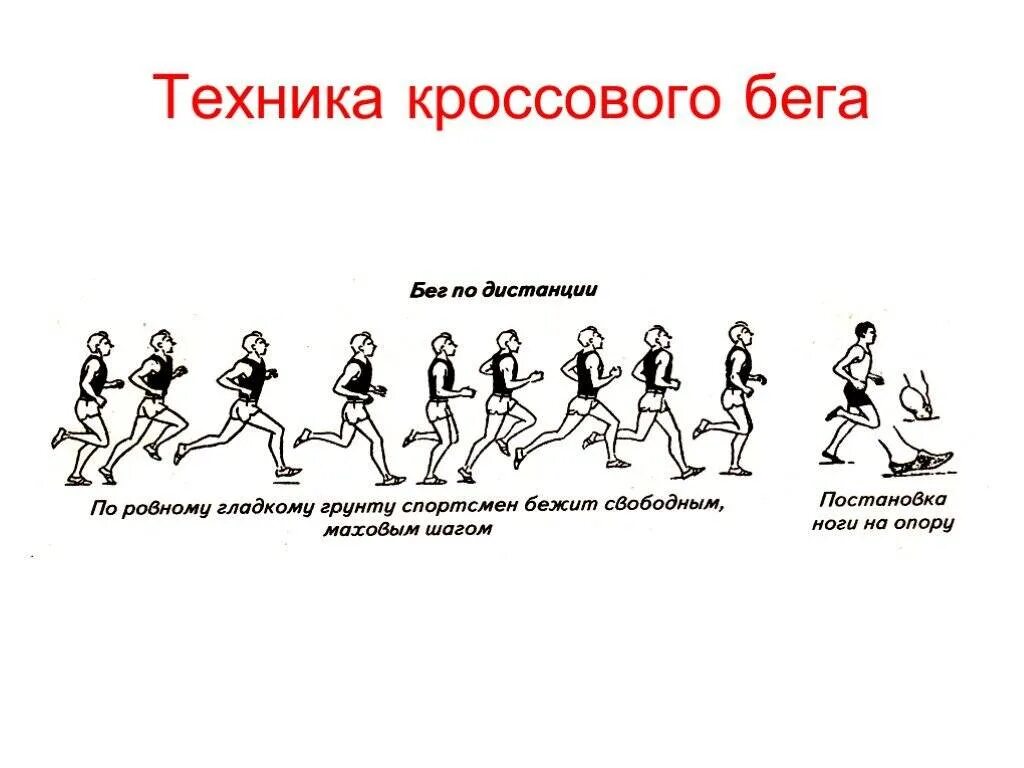 Упражнение преодоление препятствий. Анализ техники кроссового бега. Кроссовая подготовка реферат. Кроссовая подготовка преодоление препятствий. Техника бега в кроссе.