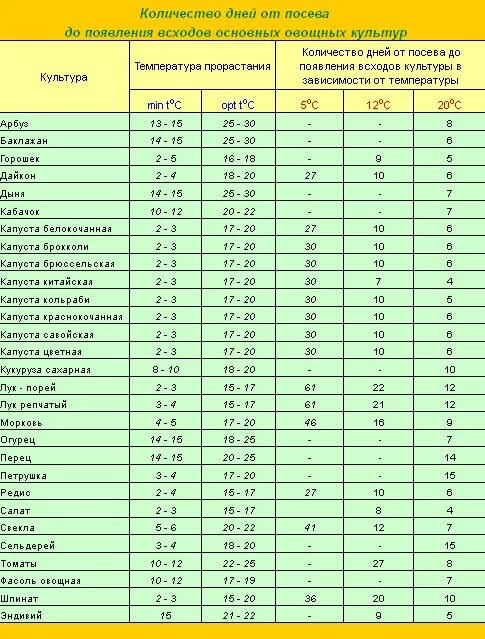 При какой температуре всходят семена. Срок появления всходов овощей. Таблица всхожести семян овощных. Таблица всходов семян овощных культур. Сроки появления всходов овощных культур.