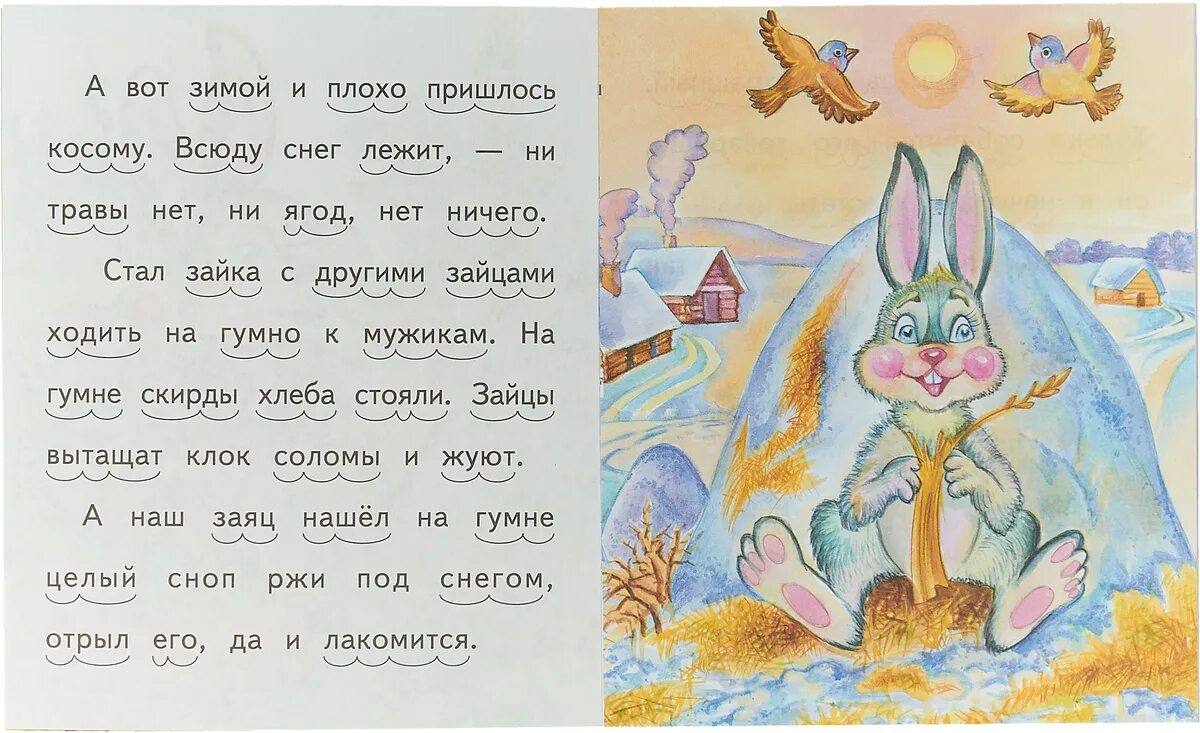 Суффикс к пишется. Заяц суффикс. Заяц суффикс. Детёныши животных с суффиксом онок. Уменьшительно-ласкательные суффиксы.