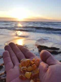 Amber sea калининград