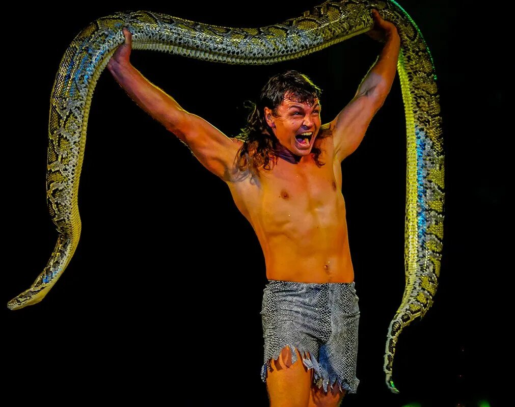 Шоу со змеями. Змея в цирке. Питон в цирке. Цирк со змеями.
