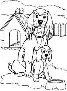 dogc9.gif (884 × 1200)