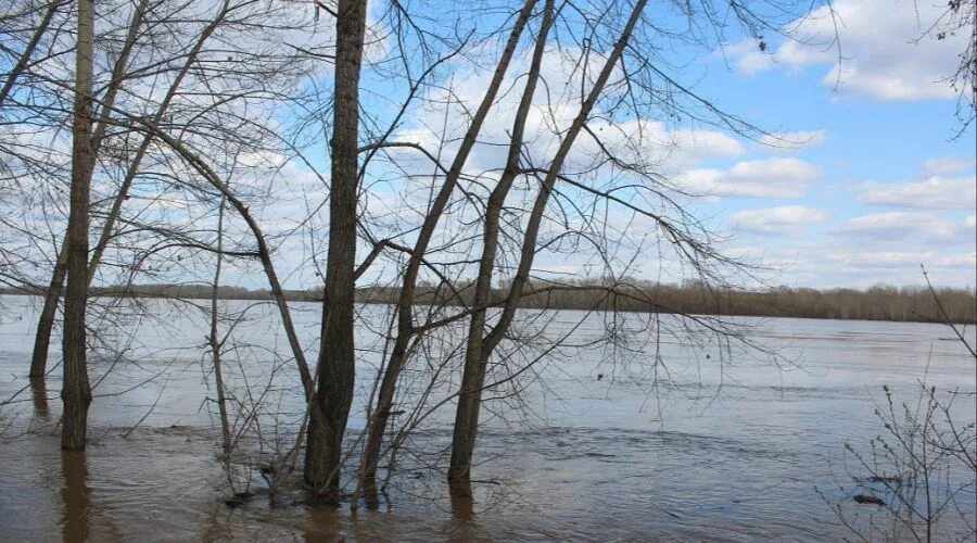 Подъем воды в реке Обь Бийск. Уровень реки Бия в Бийске на сегодня. Уровень воды реки Обь 2 октября 2021 года село Кругликово. Уровень воды в реке Обь 5.05.2021. Вода в оби в шелаболихе