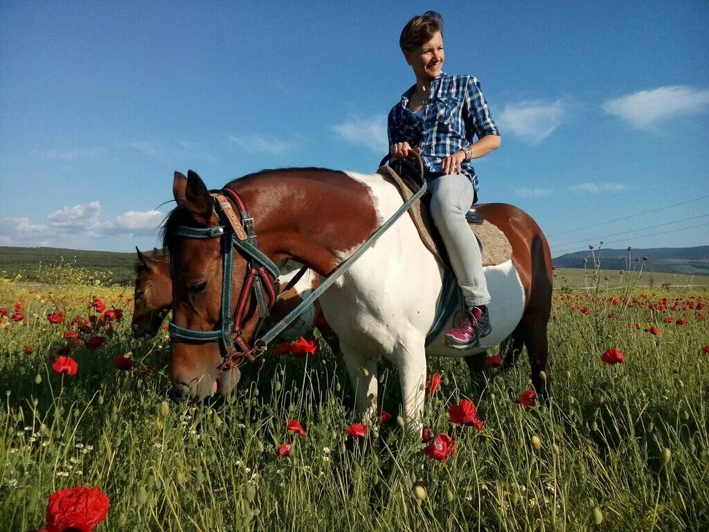 КСК конный двор Белоярский. Конный двор Белоярский Свердловская. Конный двор Сергиев Посад. Конный двор Куликово поле.