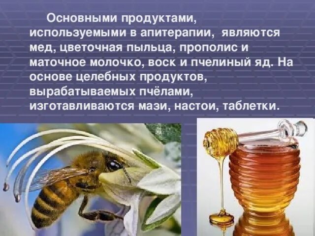 Центр апитерапия. Презентация на тему апитерапия. целебные продукты пчел. пчелиный яд картинки для презентации.