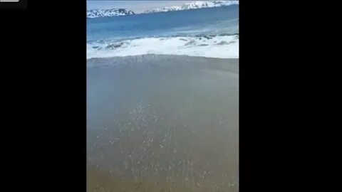 Морю идет идет а берега дойдет
