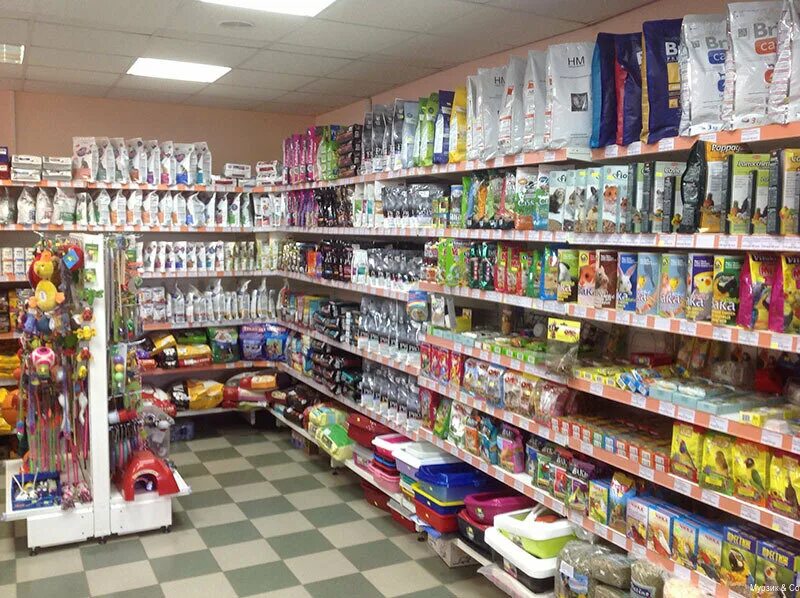 зоомагазин питомец вологда. любимчик калуга. зоомагазин в самаре с животными. зоомагазин короча. динозаврик сеть магазинов.